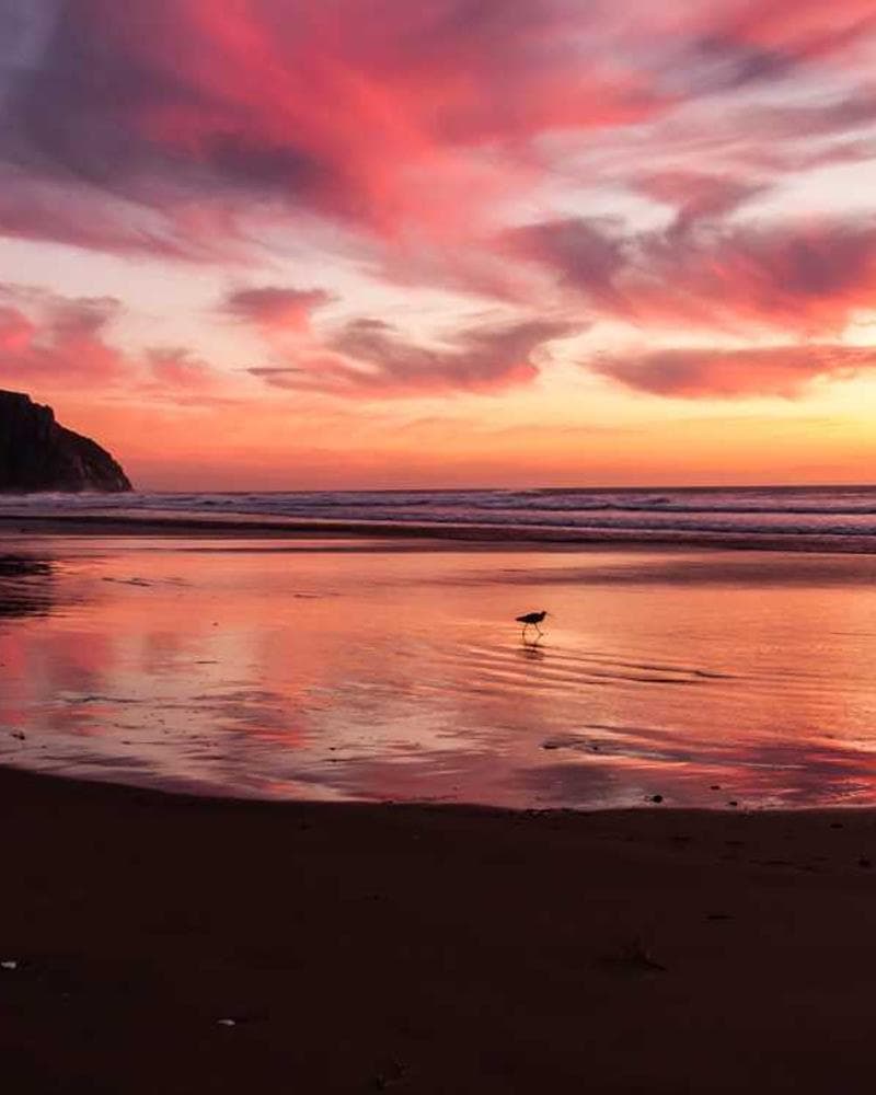 Bonnie Blossom Flower Studio in Bali